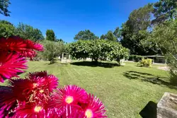 Vente mas Saint-Rémy-de-Provence  
