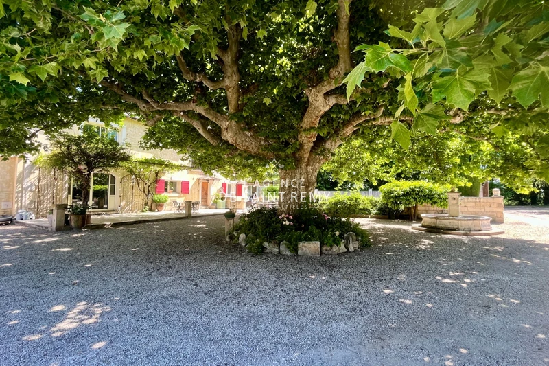 Vente mas Saint-Rémy-de-Provence  