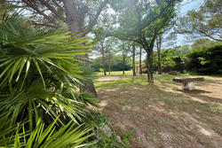 Vente mas Saint-Rémy-de-Provence  