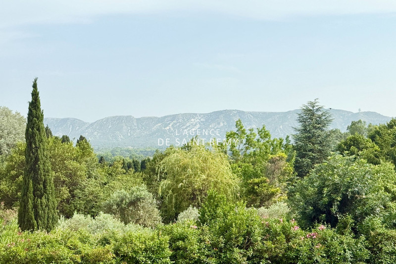 Vente mas Saint-Rémy-de-Provence  