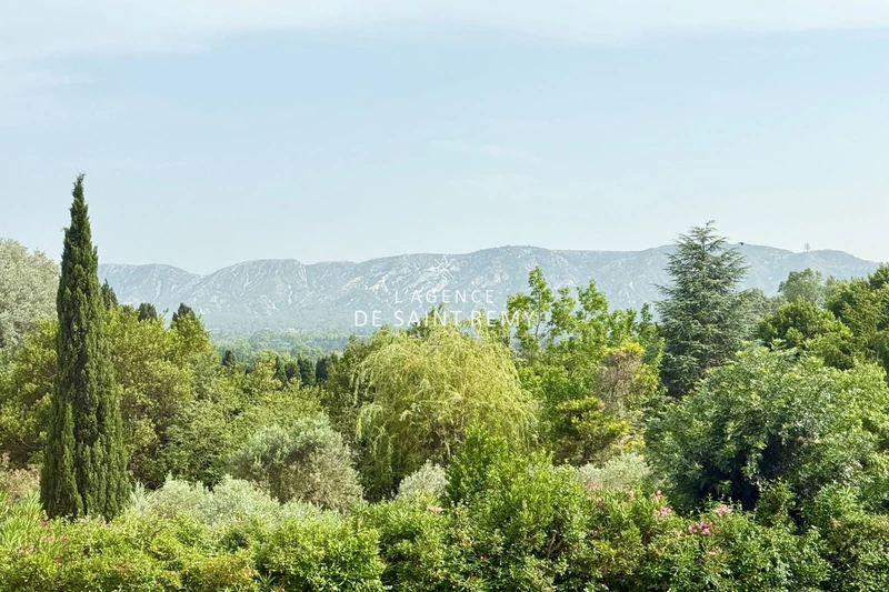 Vente mas Saint-Rémy-de-Provence  