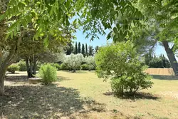 Vente maison de campagne Fontvieille  