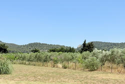 Vente maison de campagne Fontvieille  