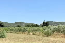 Vente maison de campagne Fontvieille  