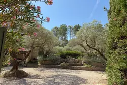 Vente mas Saint-Rémy-de-Provence  