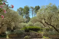 Vente mas Saint-Rémy-de-Provence  