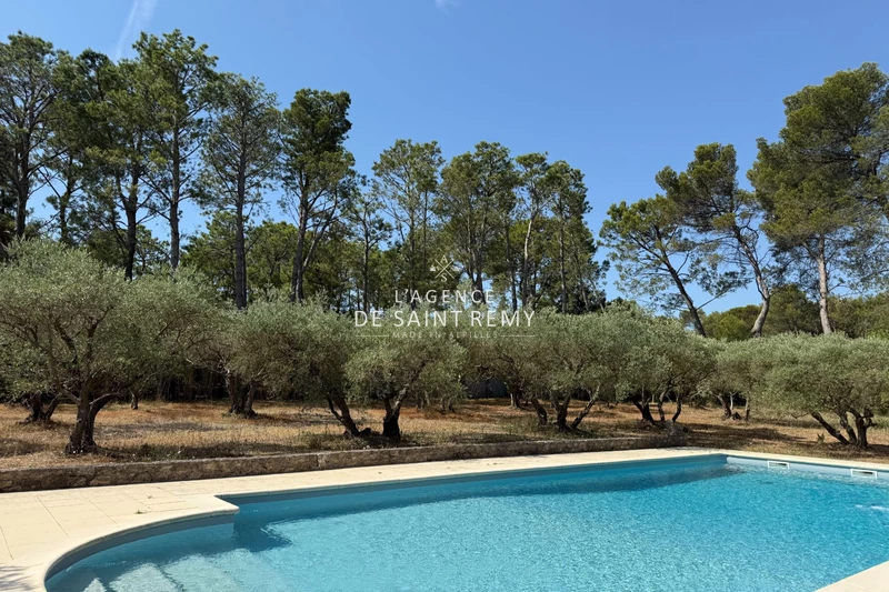 Vente mas Saint-Rémy-de-Provence  