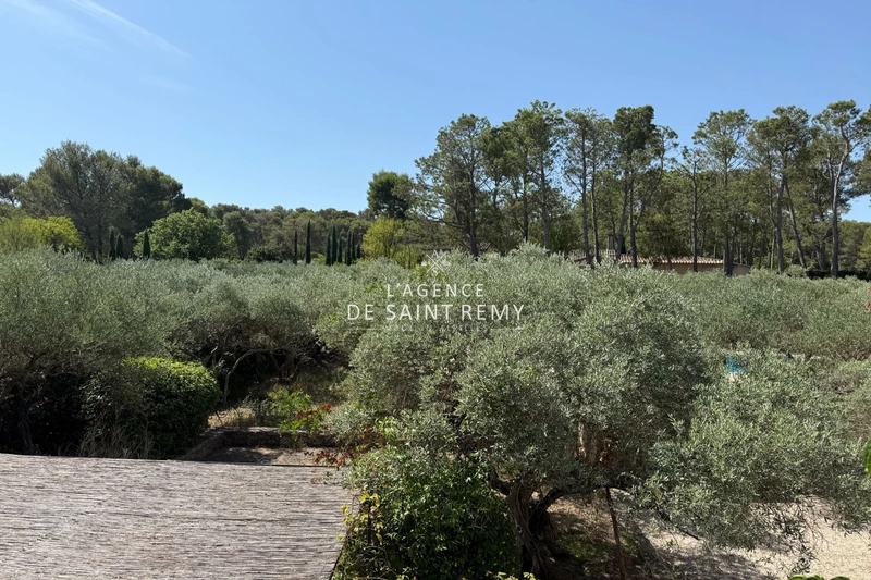 Vente mas Saint-Rémy-de-Provence  