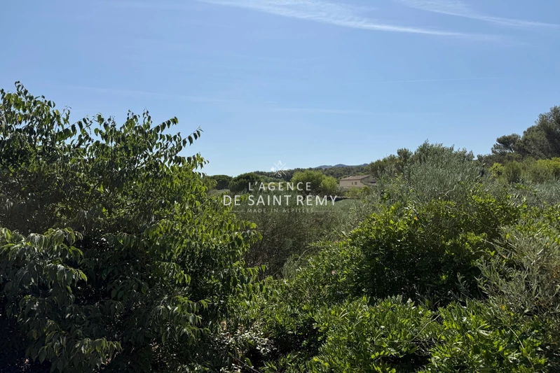 Vente mas Saint-Rémy-de-Provence  