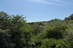 Vente mas Saint-Rémy-de-Provence  