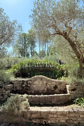 Vente mas Saint-Rémy-de-Provence  