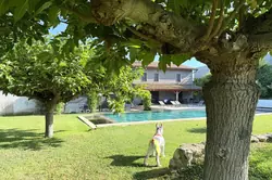 Vente maison Saint-Rémy-de-Provence  