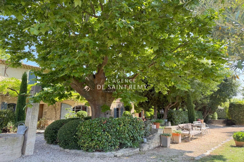 Vente maison de caractère Saint-Rémy-de-Provence  