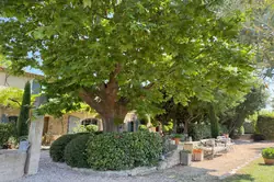 Vente maison de caractère Saint-Rémy-de-Provence  