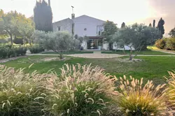 Vente mas Saint-Rémy-de-Provence  