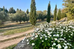 Vente mas Saint-Rémy-de-Provence  