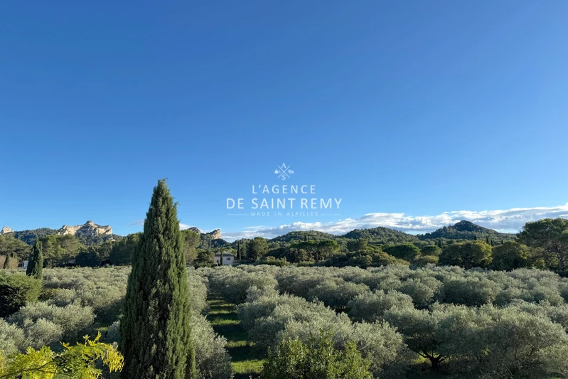 Vente maison en pierre Saint-Rémy-de-Provence  