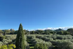 Vente maison en pierre Saint-Rémy-de-Provence  