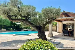 Vente propriété Saint-Rémy-de-Provence  