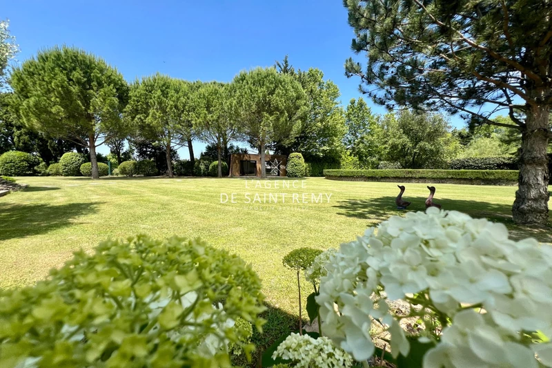 Vente propriété Saint-Rémy-de-Provence  