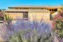 Vente appartement Saint-Rémy-de-Provence  