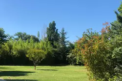 Vente terrain à bâtir Saint-Rémy-de-Provence  