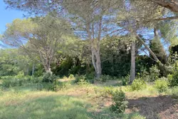 Vente terrain Saint-Rémy-de-Provence  