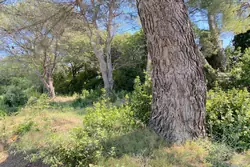 Vente terrain Saint-Rémy-de-Provence  