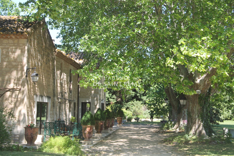 Vente mas Fontvieille Vente mas Fontvieille