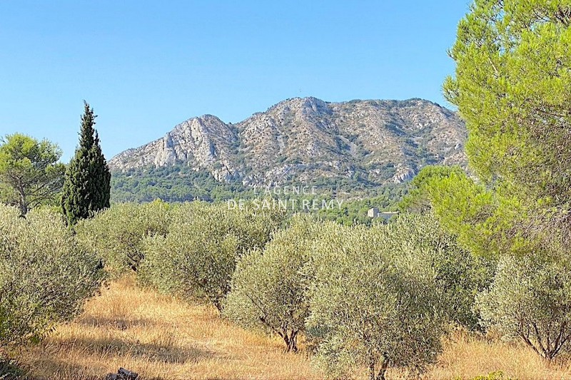 Vente mas Eygalières Vente mas Eygalières