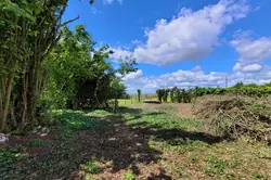 Vente maison Sancheville Vente maison Sancheville