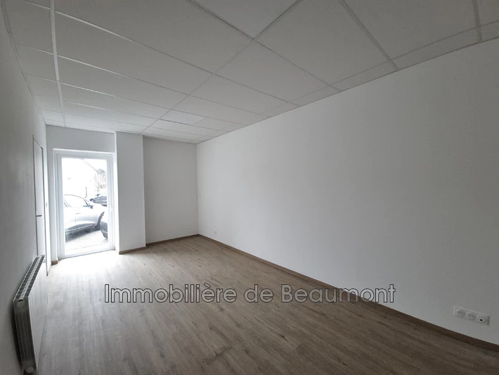 Professionnel locaux Beaumont-le-Roger  