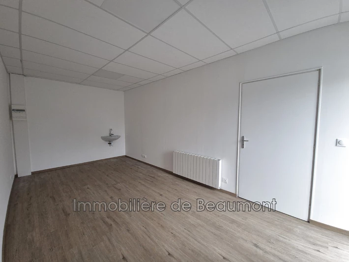 Professionnel locaux Beaumont-le-Roger  