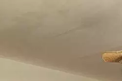 Vente maison Le Neubourg  