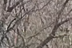 Vente maison Beaumont-le-Roger  