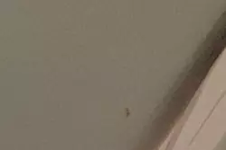 Vente maison Beaumont-le-Roger  