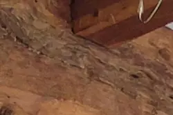 Vente maison Beaumont-le-Roger  