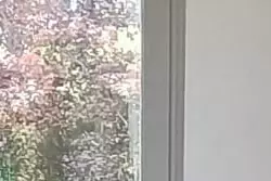 Vente maison Beaumont-le-Roger  