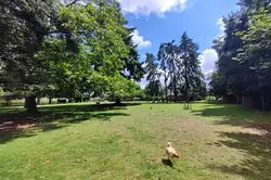 Vente maison Beaumont-le-Roger  