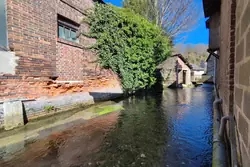 Vente maison Beaumont-le-Roger  