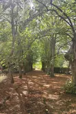 Vente manoir Bernay Vente manoir Bernay