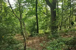Vente terrain Beaumont-le-Roger Vente terrain Beaumont-le-Roger
