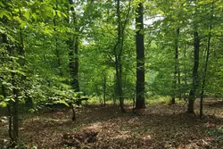 Vente terrain Beaumont-le-Roger Vente terrain Beaumont-le-Roger