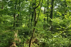 Vente terrain Beaumont-le-Roger Vente terrain Beaumont-le-Roger