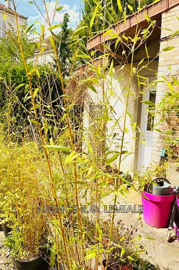 Location appartement Maisons-Laffitte  