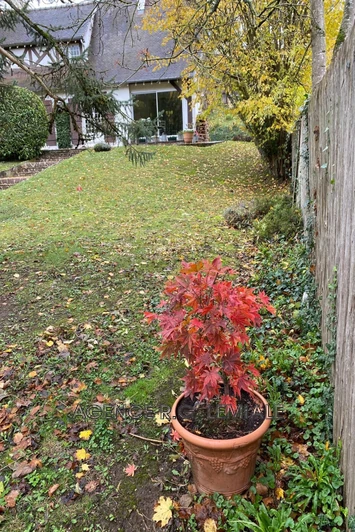 Vente maison Le Mesnil-le-Roi  