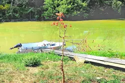 Vente maison Libourne  