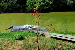 Vente maison de village Saint-Denis-de-Pile  