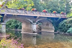 Professionnel  Saint-Léonard-des-Bois  