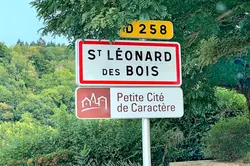 Professionnel  Saint-Léonard-des-Bois  